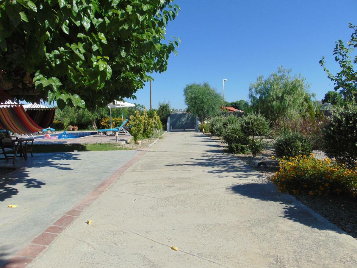 Villa Dora Faliraki Buitenkant foto